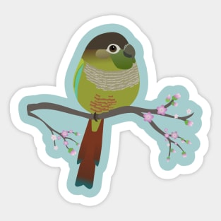 Cute egg shaped green cheek conure Sticker